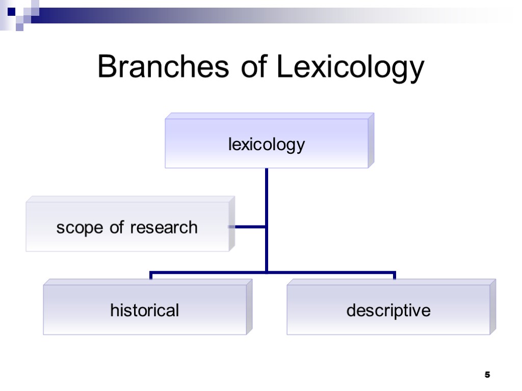 5 Branches of Lexicology